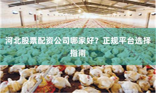 河北股票配资公司哪家好？正规平台选择指南