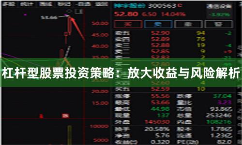 杠杆型股票投资策略：放大收益与风险解析